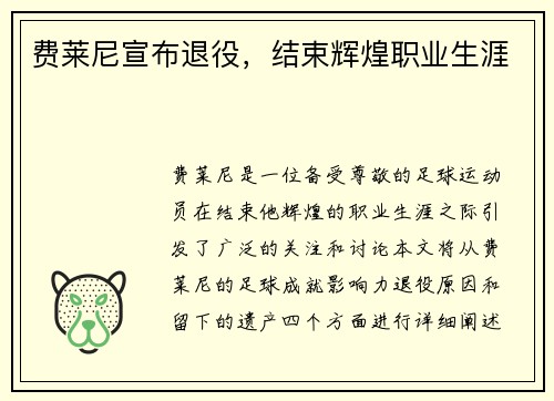 费莱尼宣布退役，结束辉煌职业生涯