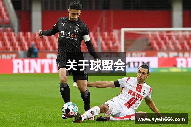 关于球盟会